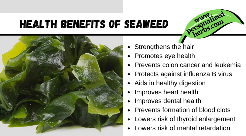The Wonderful Health Benefits of Sea Vegetables